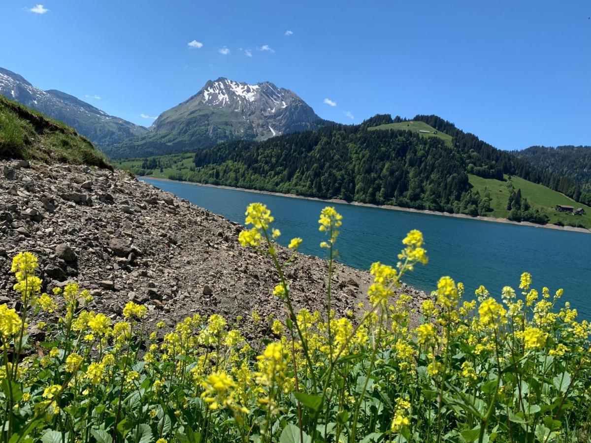 Fischers Lodge Innerthal المظهر الخارجي الصورة