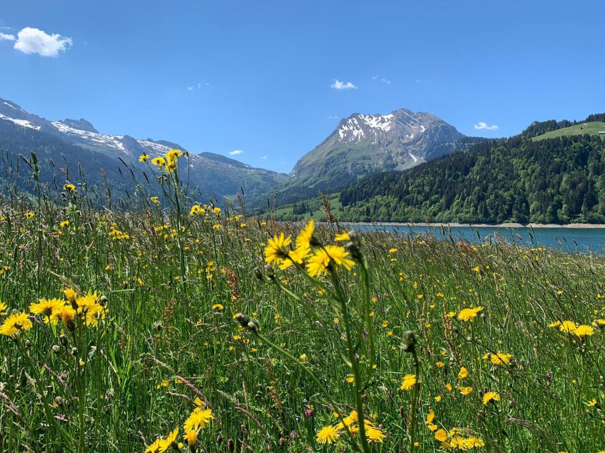Fischers Lodge Innerthal المظهر الخارجي الصورة